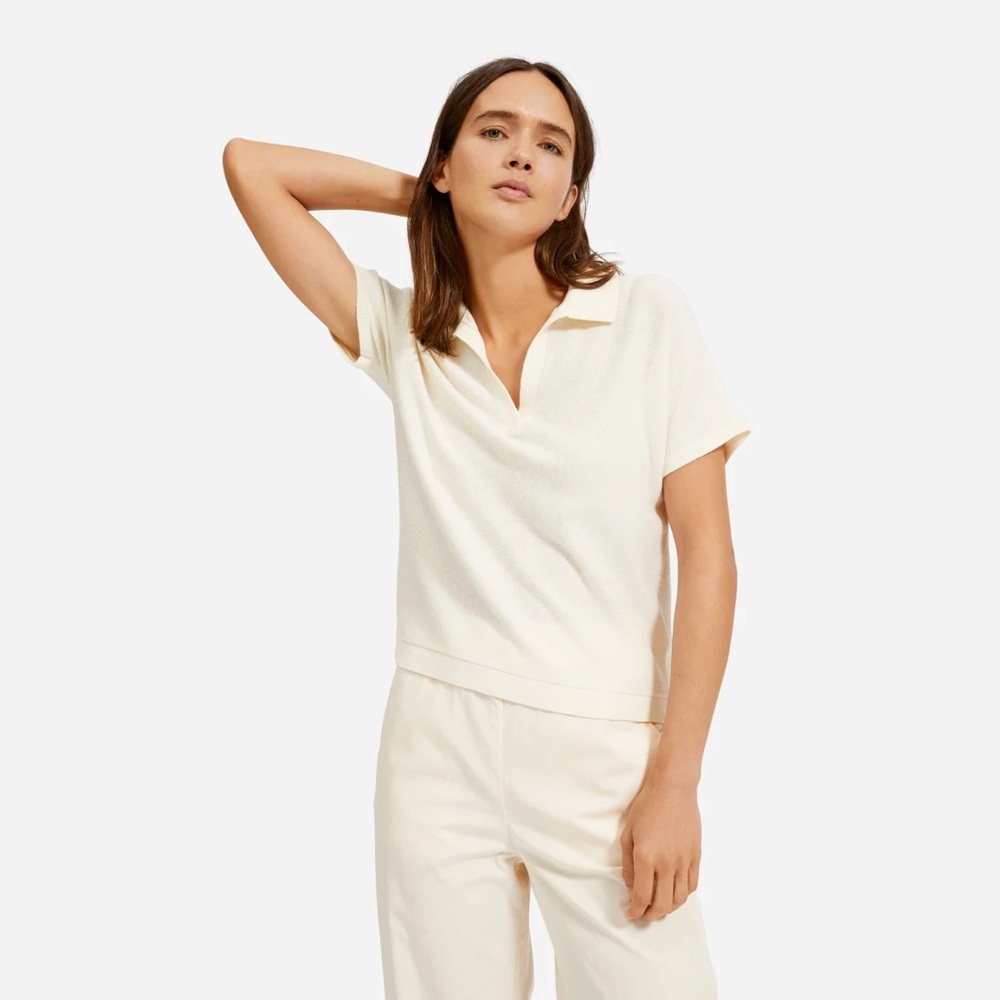 Everlane Cotton-Merino Polo